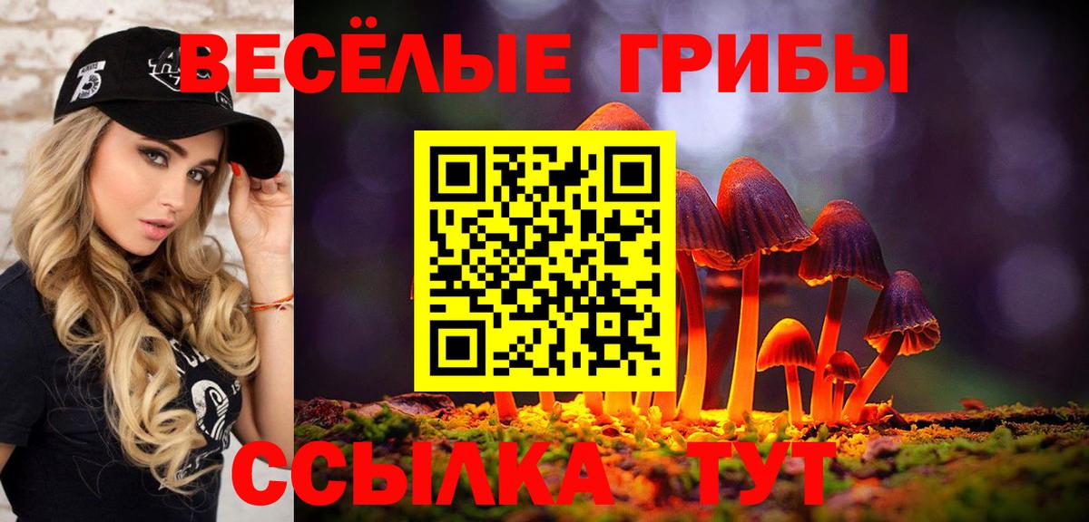 Галлюциногенные грибы Psilocybe  Вход с VPN  Каспийск 